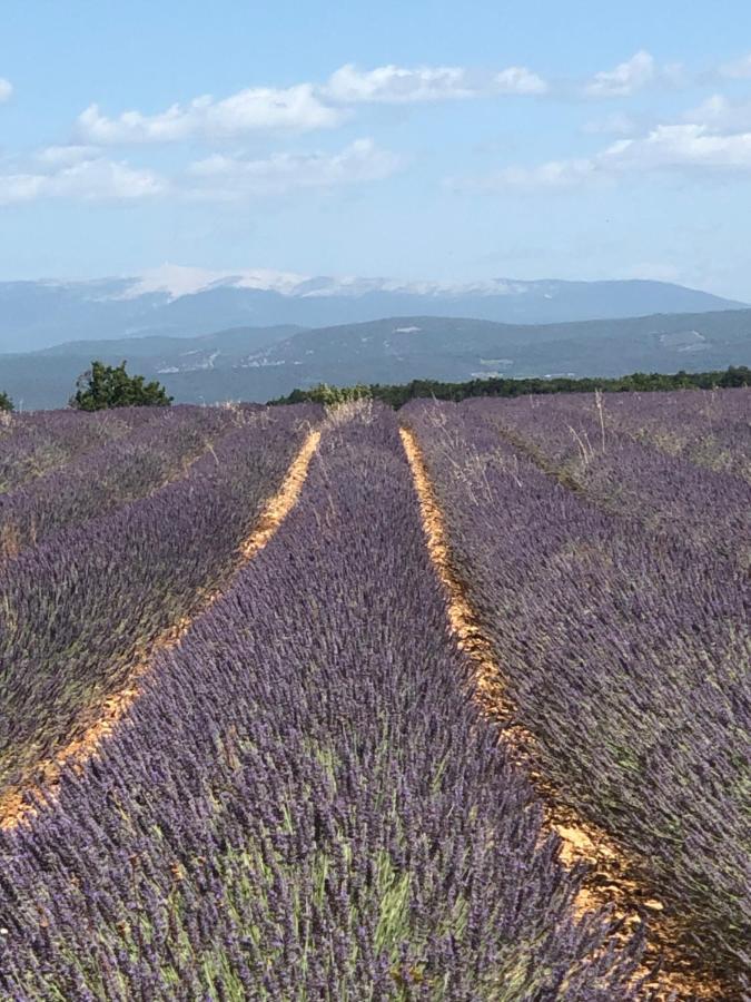 Provence Luberon Bonnieux Location Gite Chez Basile Ngoại thất bức ảnh